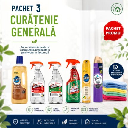 pachet curatenie generala