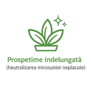Prospetime_indelungata